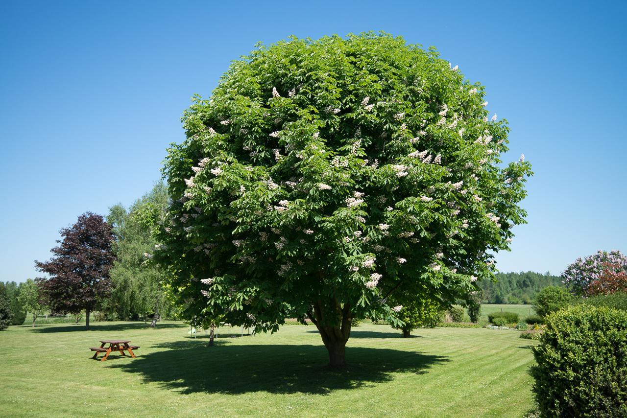 Au Jardin Fleuri Villa Vauxaillon Luaran gambar